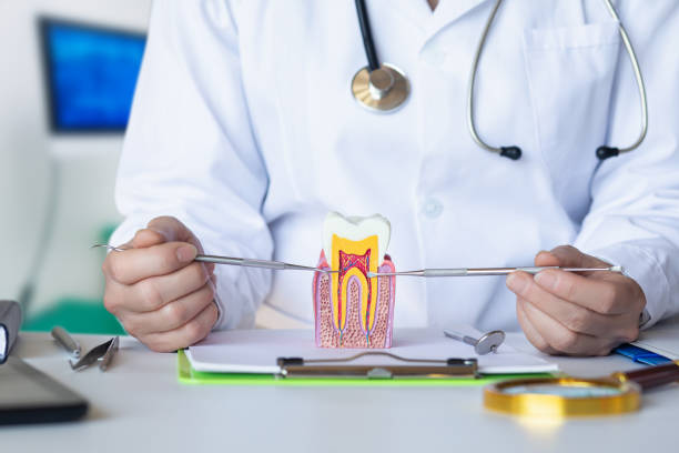 Best Mobile Emergency Dentist in West Bradenton, FL